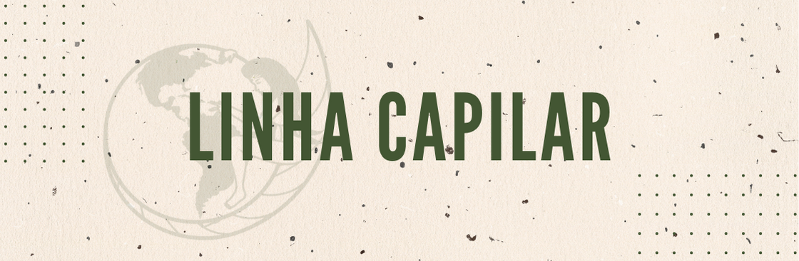 linha capilar fitogaia
